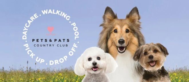 新西兰“专做富人生意”的老牌企业破产！279次投诉、十几万罚款生生拖垮……(图3)