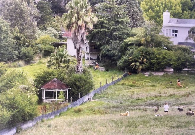 新西兰“专做富人生意”的老牌企业破产！279次投诉、十几万罚款生生拖垮……(图10)