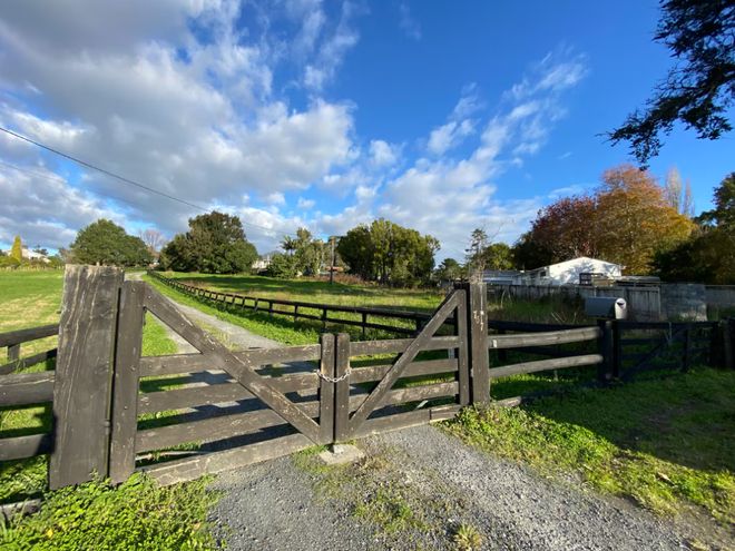 新西兰“专做富人生意”的老牌企业破产！279次投诉、十几万罚款生生拖垮……(图15)