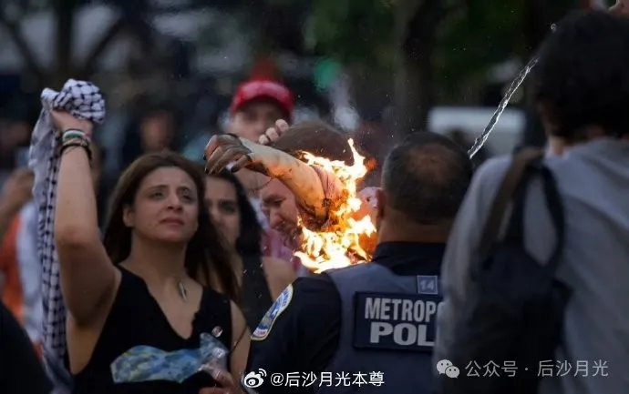美国记者白宫门口自焚！而它们却都在装死(图4)