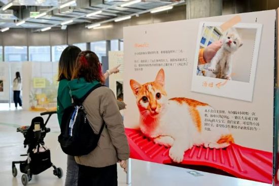 九游官网入口：连续2涨停！骏亚科技成立新公司布局电子元器件制造越南工厂推进高多层PCB生产(图1)