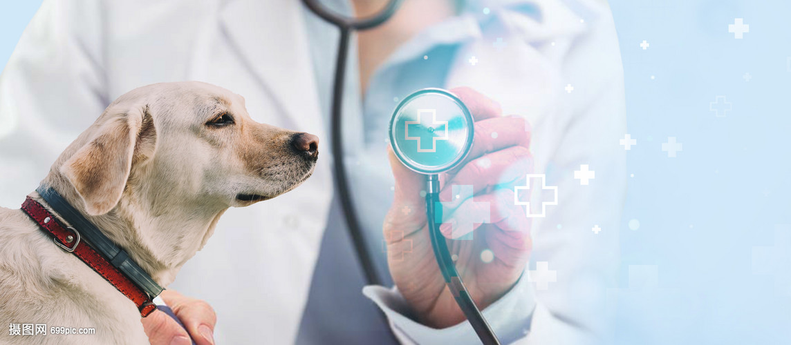 万物生·态不同 2025宠业新增长大会暨郝波宠业年度演讲圆满举办(图1)