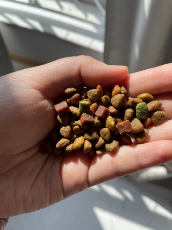 九游app：麦富迪营养森林肉粒系列 大颗肉粒让狗子吃的过瘾(图4)