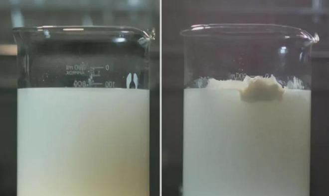 10多年过去曾经因三鹿奶粉的“大头娃”如今现状怎么样？(图4)