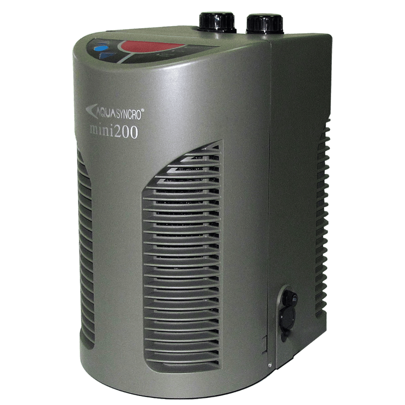 九游app：派得狗粮：为爱犬打造健康成长的美味之选买就送牛肉条！(图4)