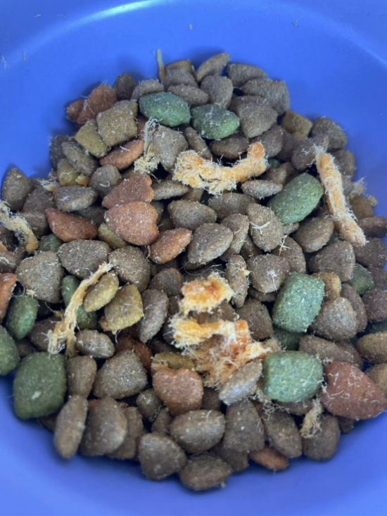 麦富迪营养森林肉松系列 挑食狗子也能一秒征服(图4)