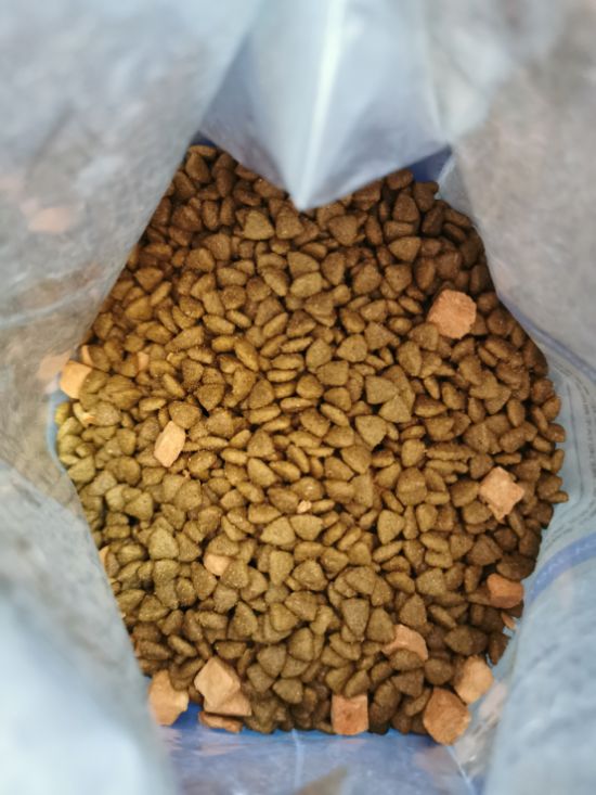 冬日买粮就选麦富迪营养森林三文鱼系列(图2)