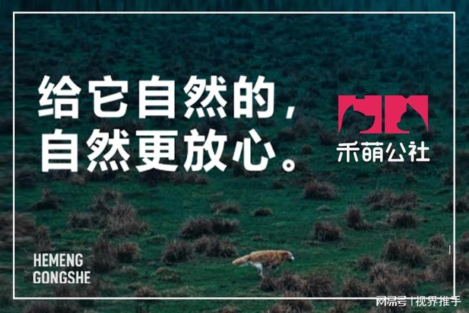 九游app：禾萌公社：狗狗挑食不吃饭怎么办？试试以鲜肉狗粮唤醒天生食欲(图2)