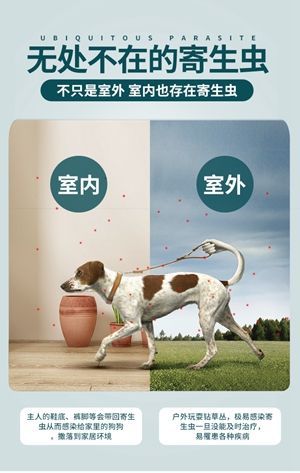 九游官网入口：冰河中的温暖：大哥赤膊救起落水流浪狗(图1)