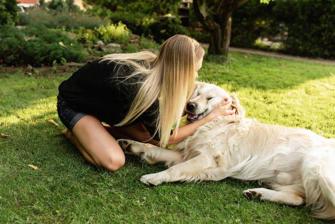 5个月金毛吃什么？5个月大的金毛怎么选狗粮(图2)