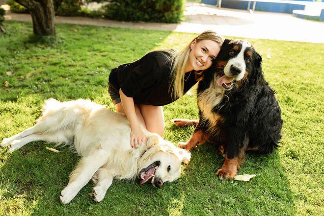 5个月金毛吃什么？5个月大的金毛怎么选狗粮(图4)