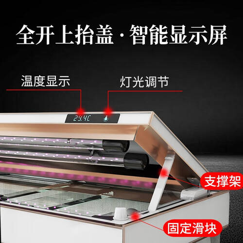 九游app：京东京造狗粮：让你的幼犬健康成长的秘密武器！(图2)