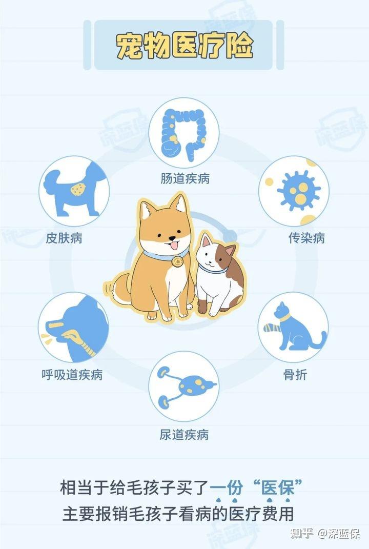 2025宠物保险保费规模预计突破30亿元却为何“叫座”难“叫好”？(图1)