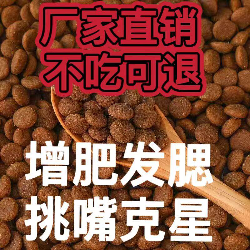 印度大学用中国机器狗冒充自研遭撤展(图1)