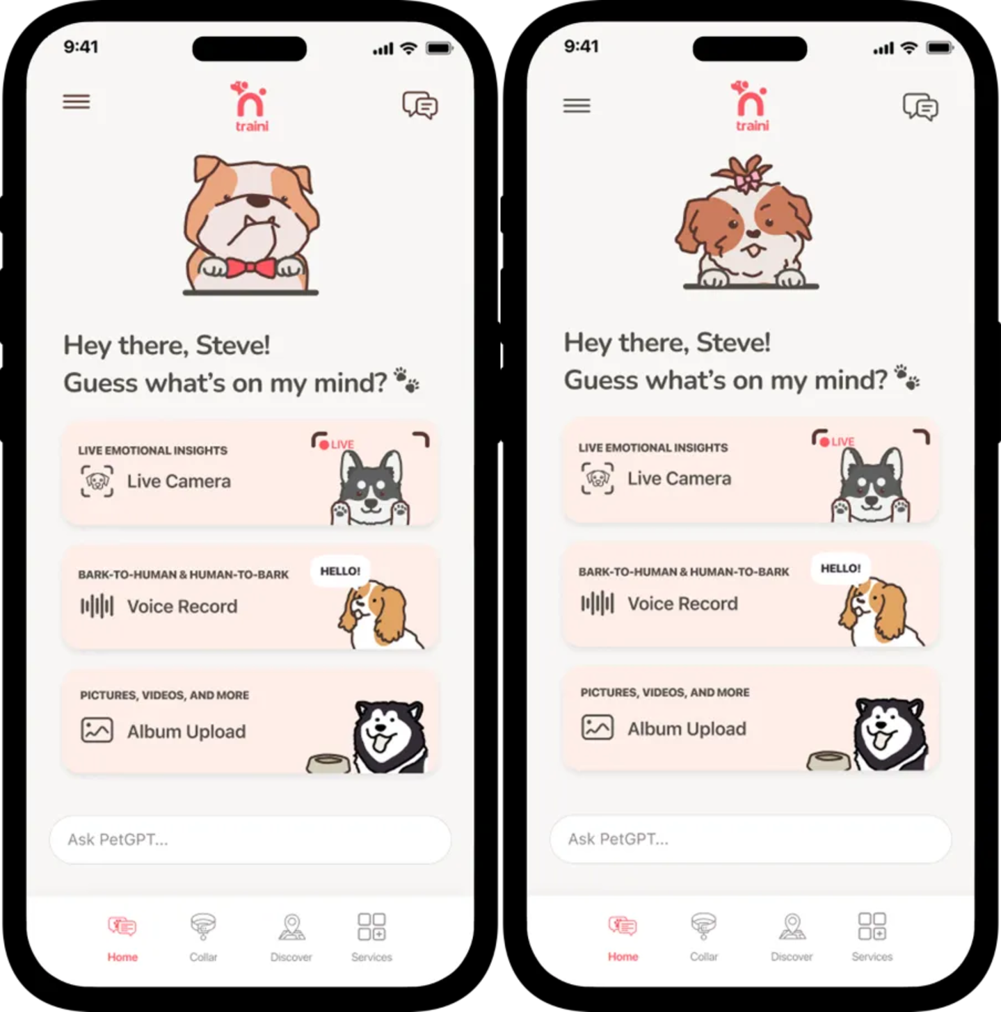 “狗语翻译项圈”火了一个卖4000元拿下5000万融资(图2)