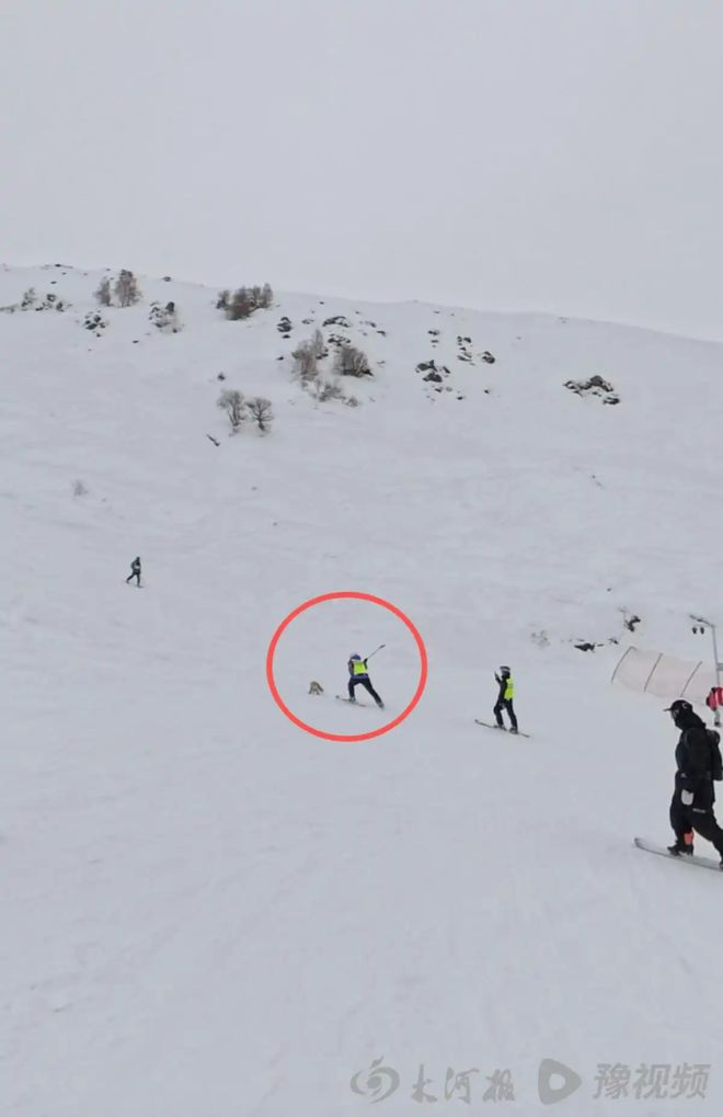 早读 今晚停了！著名哲学家逝世！“刘德華”600年前造砖！“莎头”同日淘汰！今早这里通行有变！(图4)