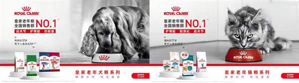 九游app：聚焦宠物健康老龄化皇家宠物食品三大举措守护“老宝贝”健康(图6)