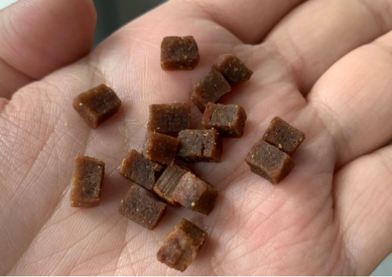 不要“春困”！麦富迪营养森林让狗子干饭积极(图3)