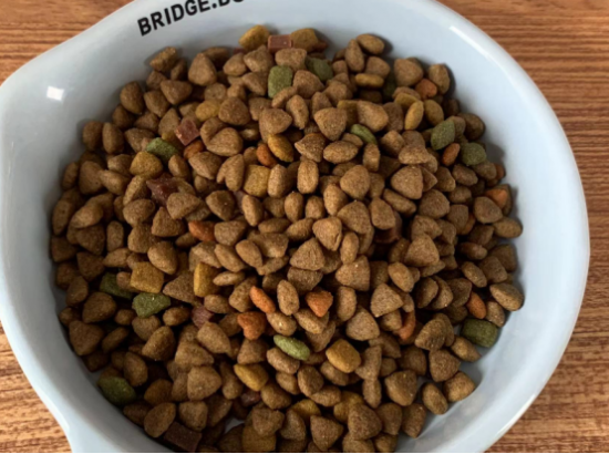 不要“春困”！麦富迪营养森林让狗子干饭积极(图4)