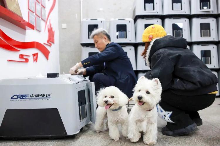 九游app：铁路宠物托运升级 它们可以独自“坐”高铁了(图1)