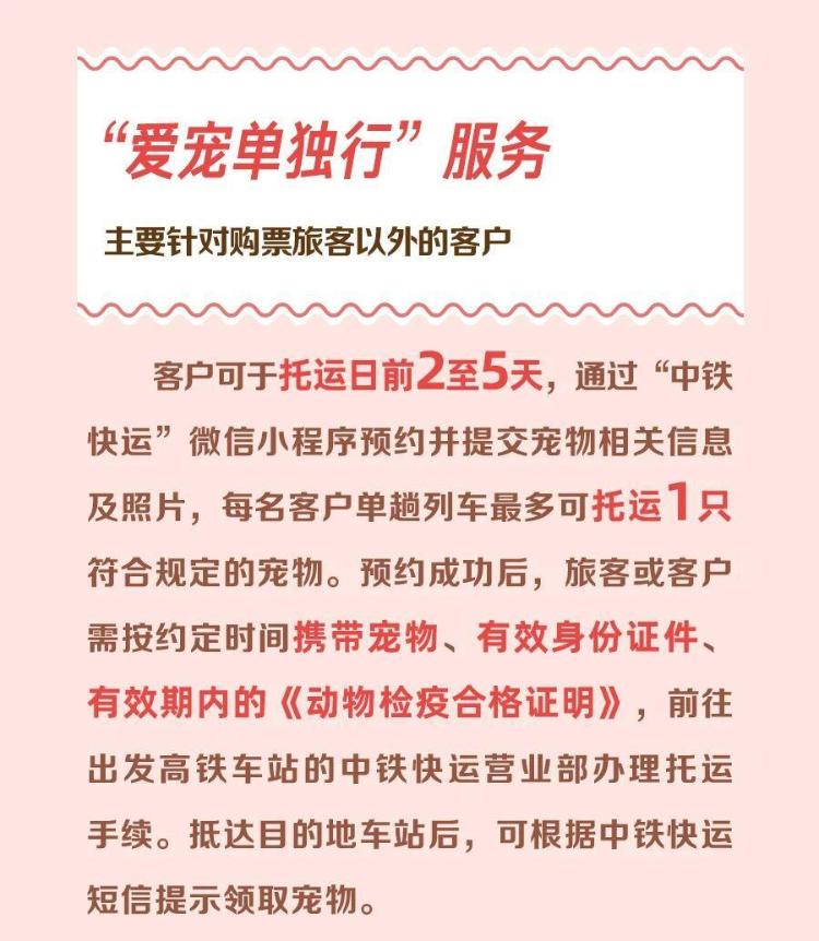 九游app：铁路宠物托运升级 它们可以独自“坐”高铁了(图5)