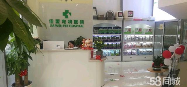 九游体育：安徽一家公司投2亿建设宠物全生命周期综合体(图1)