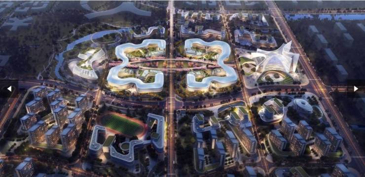 九游app：合肥伟星万科星遇光年楼盘怎么样-学区(图5)