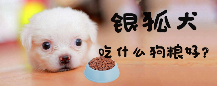 九游体育：在家如何自制狗粮(图1)