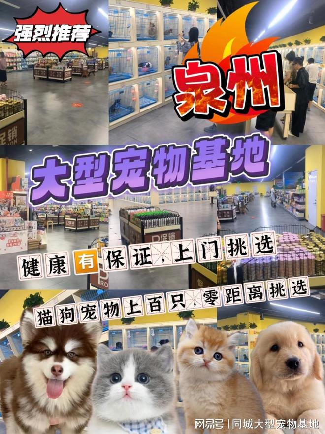 泉州哪里可以买到健康宠物这家宠物店敢承诺值得信赖。(图1)