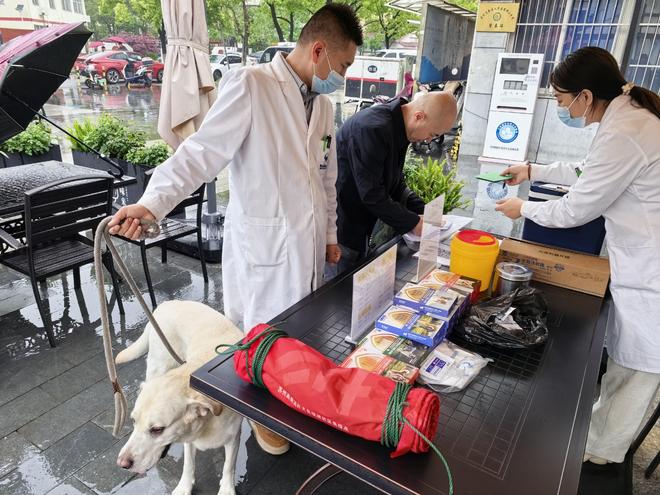 狂犬集中免疫进社区 狮山横塘街道馨泰社区为宠物健康保驾护航(图1)