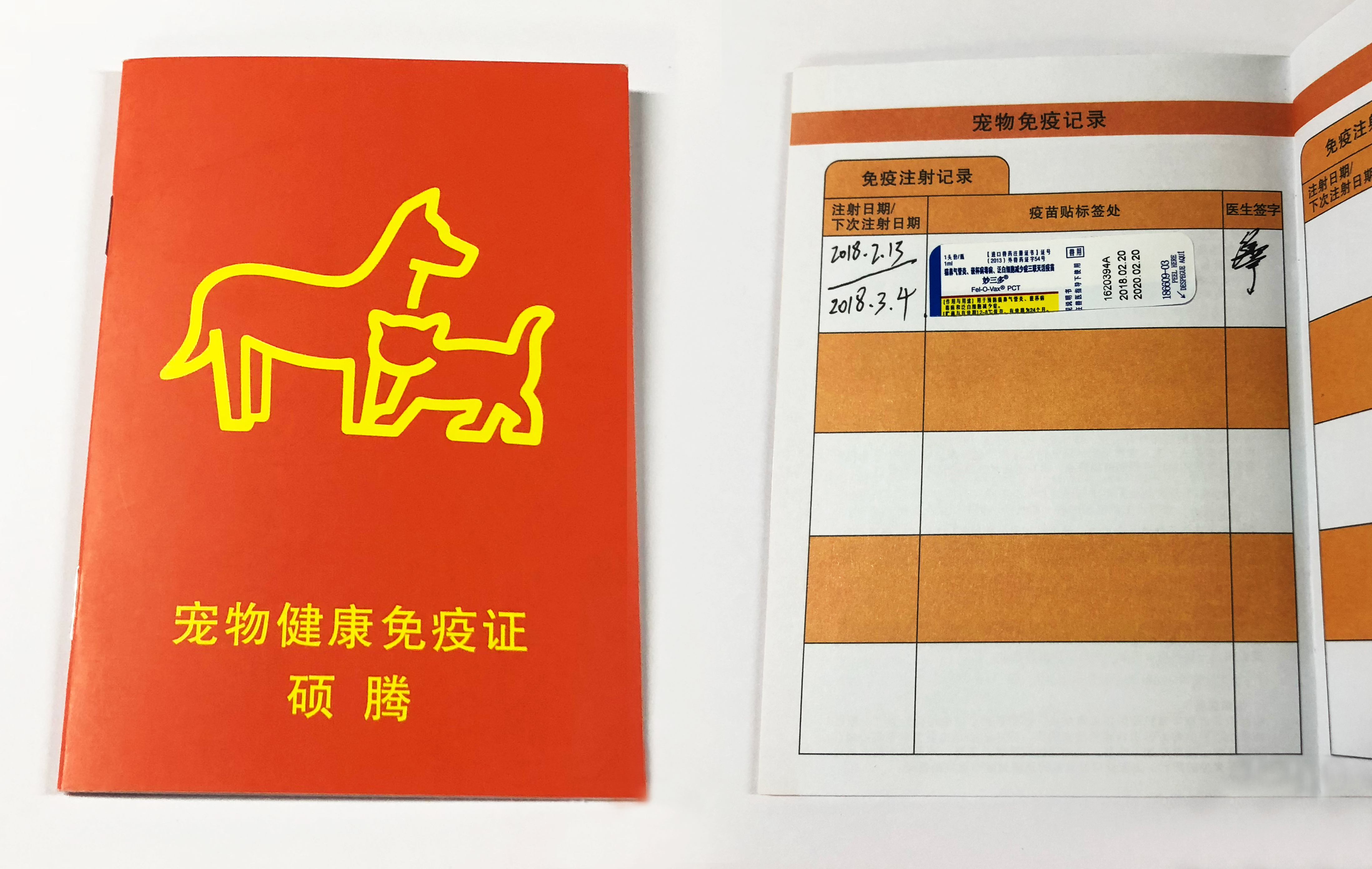 参展必读 “冠能杯”宠爱王国2026年第七届CKU®国SHOW全犬种冠军展参展须知(图1)