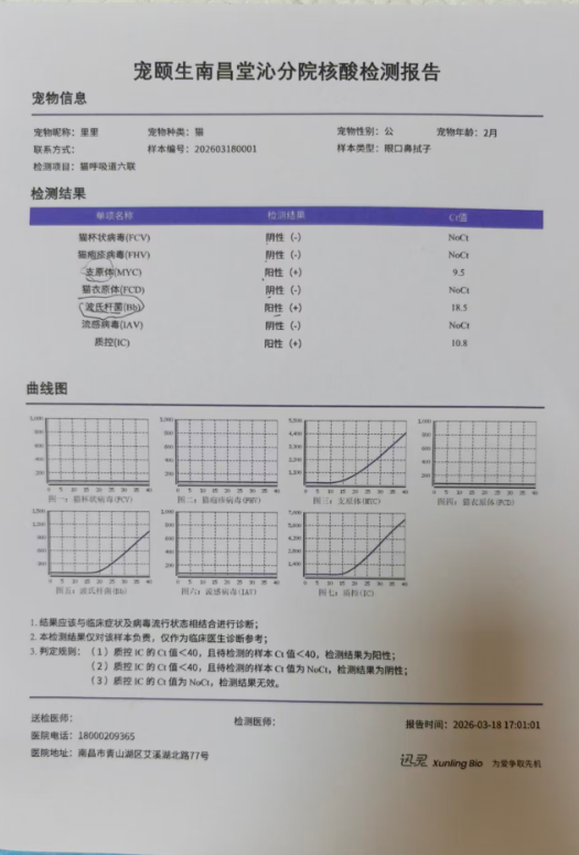小猫买回家后拉肚子、呕吐 南昌消费者疑似买到“星期宠”陷维权难(图3)