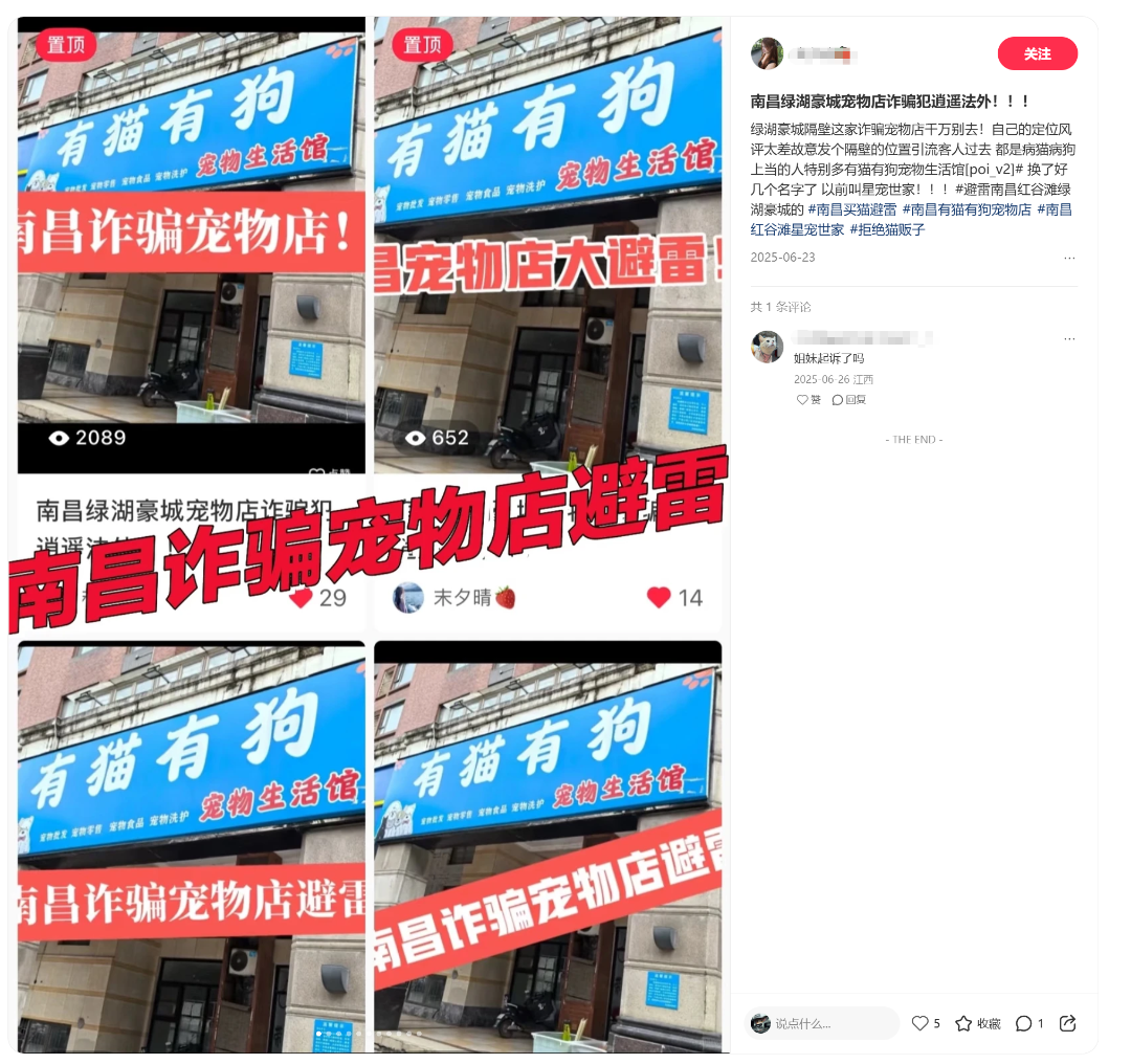 小猫买回家后拉肚子、呕吐 南昌消费者疑似买到“星期宠”陷维权难(图12)