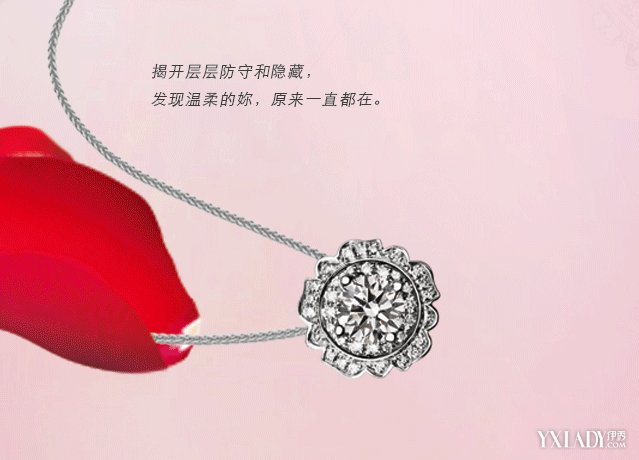 玫瑰绽放你偏爱哪种？(图2)