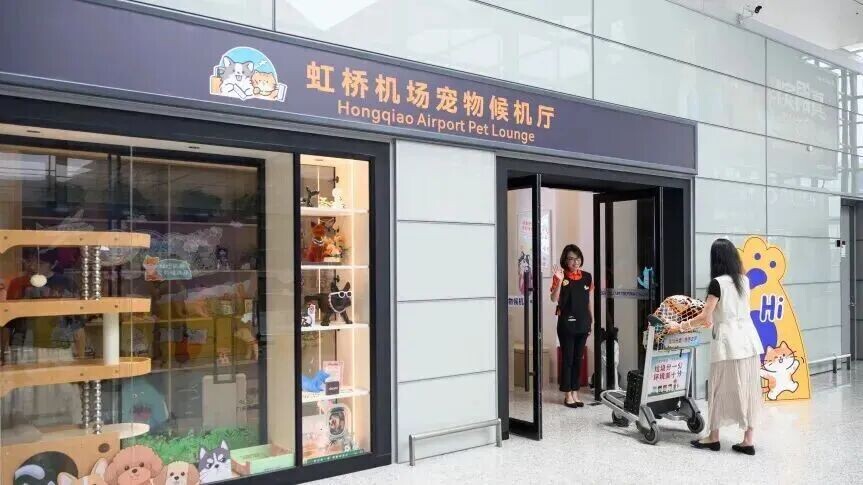 九游官网入口：吃喝住行全面升级宠物经济“再进化”(图10)